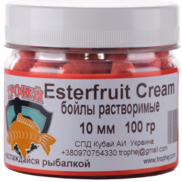 Boil  in DIP Esterfruit cream 10 mm 100 g